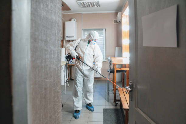 Mold Odor Removal Services in Glendora, NJ