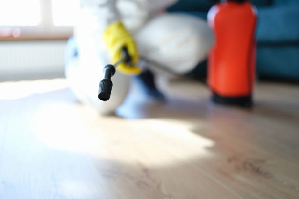 Trusted Glendora, NJ Mold Removal Experts