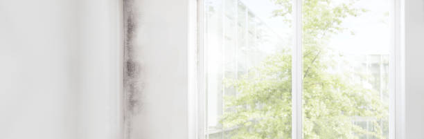 Best Post-Remediation Verification Testing  in Glendora, NJ