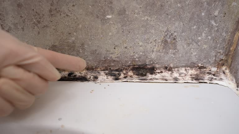 Best Mold-Related Health Consultation  in Glendora, NJ